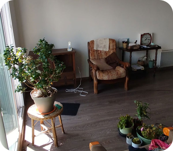 Debarras royan appartement