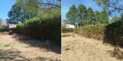 entretien espaces verts Charente 17 entretien espaces verts Charente 17