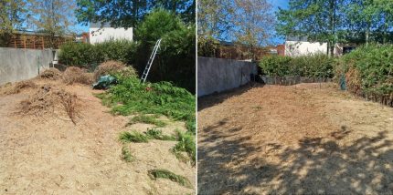 entretien espaces verts Charente 17 entretien espaces verts Charente 17